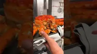 Money crab 😂🦀