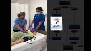 GSU integrated RT ACLS Formal video project