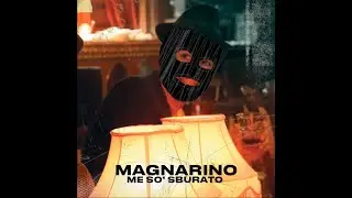 Tiger Fregna - Me so' sburato