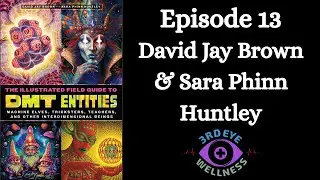 Episode 13 David Jay Brown & Sara Phinn Huntley: The Illustrated Field Guide To DMT Entities
