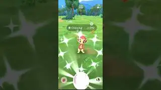 Shiny Chimchar - Pok&eacute;mon GO - #pokemongo #shinystarter #shinypokemon