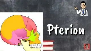 ANATONY FMGE DECEMBER 2019 QUESTIONS DNB NEET JIPMER