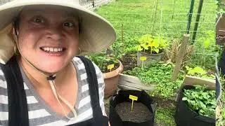 Potato Seeds, New Fruit Trees & Ground Cherries