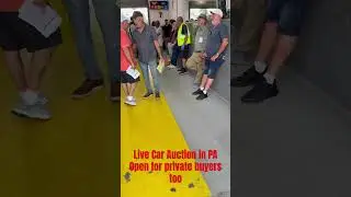Live car auction in PA #car #auction #pensylvania #funny