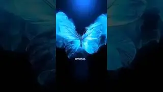 📌Don't chase🧲Attract🎯#dream #goals #success #short#shortvideo