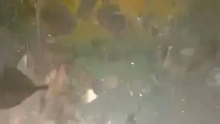 ACTUAL VIDEO OF FEEDING FOR 20 DAY OLD MALIPUTO FISH IN BATANGAS