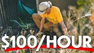 How much should I charge for lawn Care services? 💵 🤔