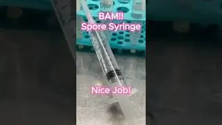 How to Make a Spore Syringe (in 60 Seconds)