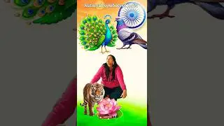 National Symbols of India 🇮🇳❤️Jai Ho👍🙏#shrots #trending #india
