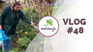 MOESTUIN VLOG #48 | Bodemverbeteraar voor de moestuin, 'mislukte' groente en karton aanbrengen