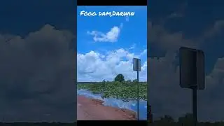 Fogg Dam Darwin #timeoutfornature #travel #nature #shorts #darwin