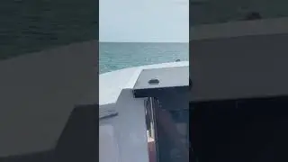 All the kids on a boat