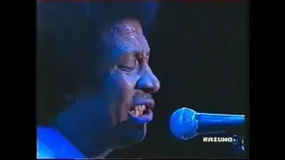 Napoli Centrale - Acquajò l'acqua è fresca - Live - Sanremo Blues 1992