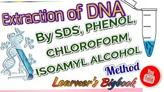 DNA extraction by SDS Method - Phenol, Chloroform mixture