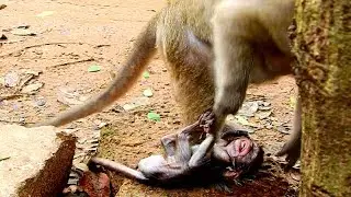 Oops Baby Crying! Why why Dana so cruel fighting baby Daniela like this! Not understand!