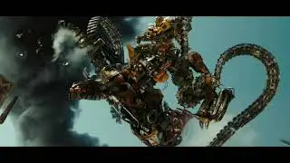 Bumblebee  Evolution