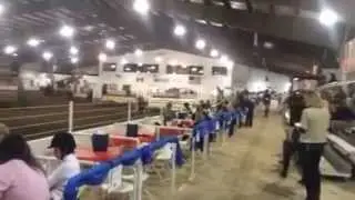 USEF medal St. Louis Charity horse show
