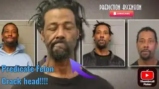 Lawrence reed is a terrorist looking at Life, after setting a woman on 🔥 on the CTA line in Chicago 