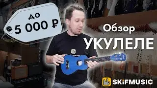Обзор укулеле до 5000 рублей | SKIFMUSIC.RU
