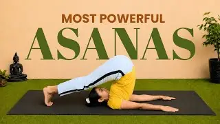15 Most Powerful Full Body Strength Yoga, 30min Daily Practice, Build Flexibility & Energy #renumam