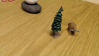 The beaver and termites - amazing wood eaters