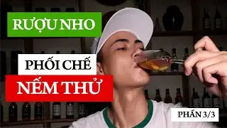 Cách làm rượu nho theo phương pháp lên men P3