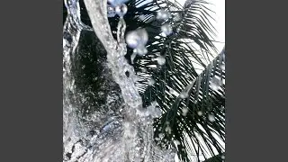 water springs