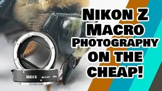 Nikon Z Macro Photography on the cheap!