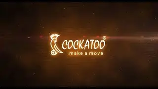 Cockatoo OB-06 Elliptical Cross Trainer, Exercise Bike Demo