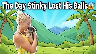 Episode 2: Stinky&rsquo;s Big Day 😱 | Funny Animal Rescue Storytime | HotDogDR Series