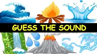 Guess the Sounds of Nature | Guess the Sound Game | 10 Sounds to Guess | Nature Sounds
