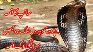 Saraiki look qissa nang badshah nang Ala qisa Saraiki look kahani by Abbas sewag 