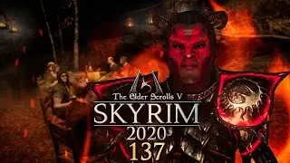 SKYRIM 2020 🐉 137: Das Ende der Sauftour