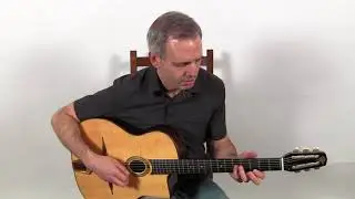 2016 Stringphonic Django #503