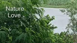 nature love | peace | calm | environment | nature sound