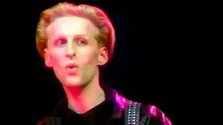 The Wild Swans - Archangels (Music Video)