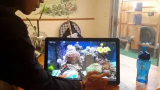 Samsung Galaxy View 18 inch  Home demo/review (Multitasking, Camera, Games, Side sync, Videos, etc)