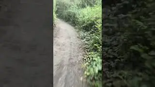Commute to work victoria BC July 10.2024