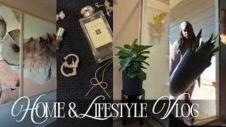 Home Vlog~ Plant Mom Moments, Car Talks, Seafood Boil, Home Reset & Renter Woes