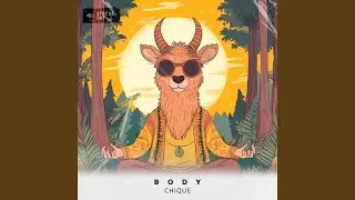 Body