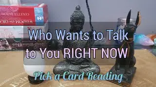 Who Wants to Talk to YOU and WHY? | Timeless Pick a Card Reading