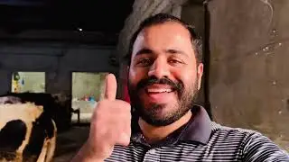 Syed farm taxila daily vlogs day 15