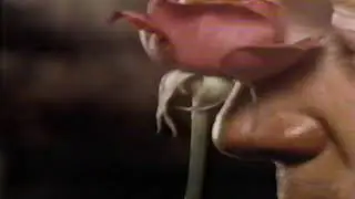 Otrivin Nasal Relief TV Commercial (December 1984)
