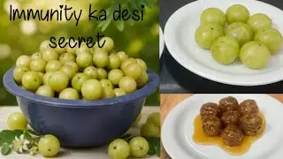 Market wala nahi, ghar ka asli murabba!”
