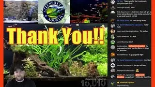 Aquarium Live Stream - 15k Subsciber Marathon