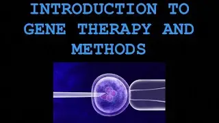 Gene therapy and methods of gene transfer - Notes for Biotechnology | Amitian Notes
