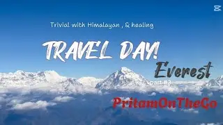 Himalayan Tea Garden 🍃 | चिया बगानको सुन्दरताले मन मोहित&rdquo;#youtubeshorts #explore #coffee #shorts 