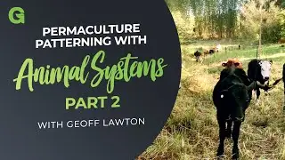 Permaculture Patterning with Animal Systems - Part 2