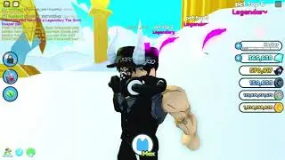Hacker on Pet sim x lol