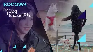 Tiffany Young starts Party's leash training [The Dog I Encountered Ep 2]